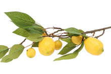 Afbeelding in Gallery-weergave laden, Silk lemon branch yellow