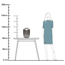 Afbeelding in Gallery-weergave laden, Artic Silver