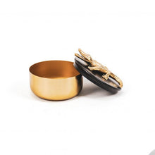 Afbeelding in Gallery-weergave laden, HV opbergdoosje Krokodil