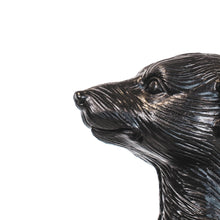 Afbeelding in Gallery-weergave laden, HV Meerkat Lamp- Zwart incl lampenkap