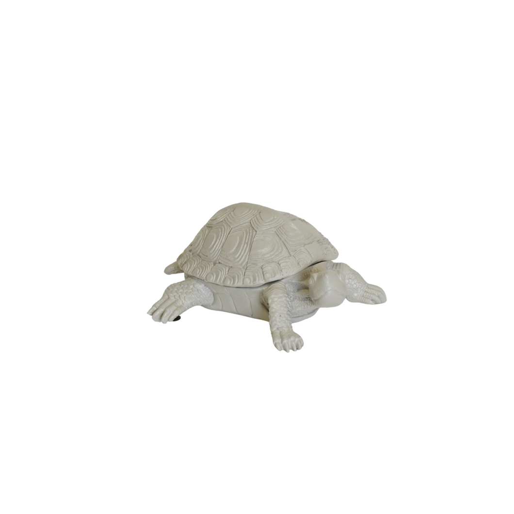 Schildpaddoos - Zand