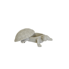Afbeelding in Gallery-weergave laden, Schildpaddoos - Zand
