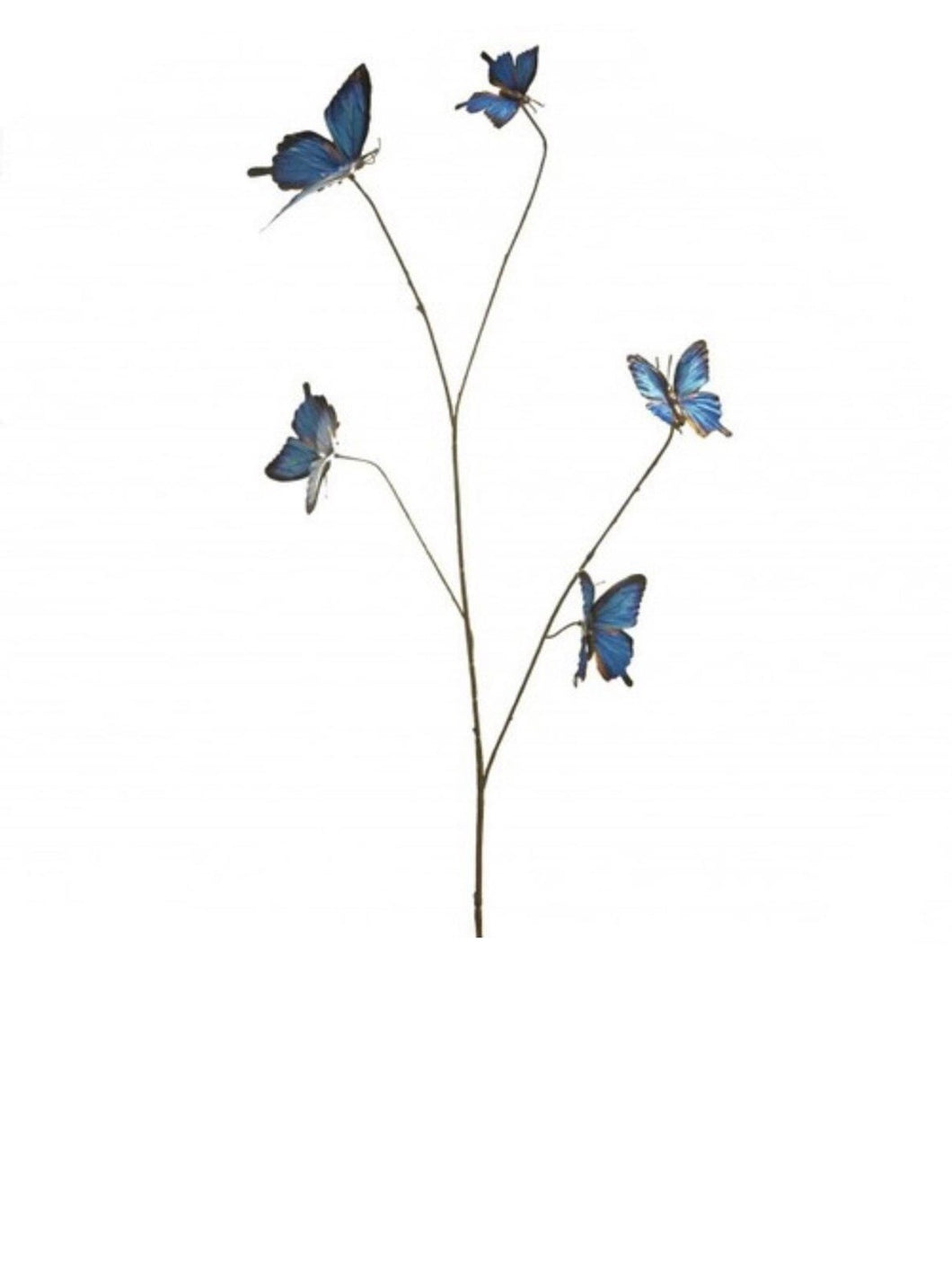 Blauwe vlindertakken