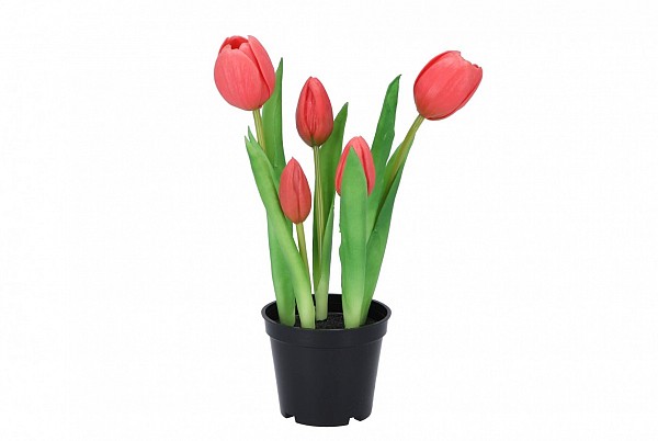 Silk tulip in pot