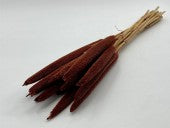 Gedroogde Babala mahoney