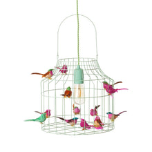 Afbeelding in Gallery-weergave laden, Hanglamp vogeltjes mint mixed
