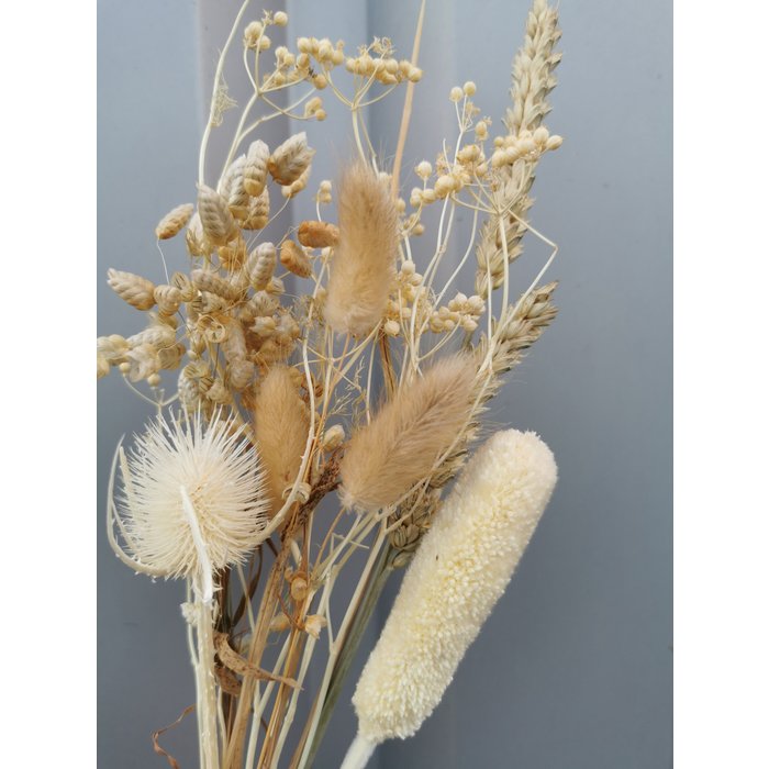 Boeketje gebleekte droogbloemen
